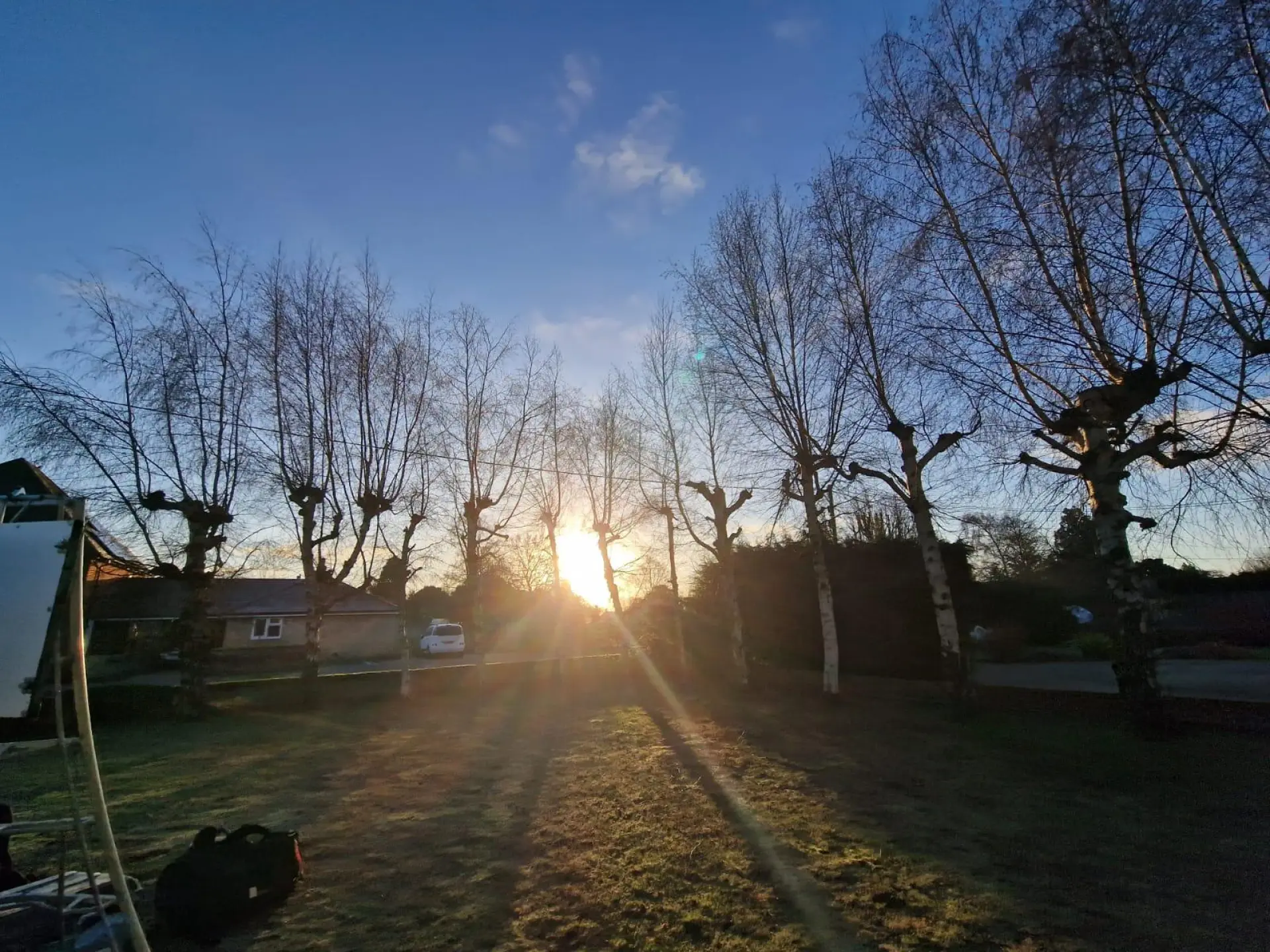 Tree Surgery Alresford, Colchester and Essex