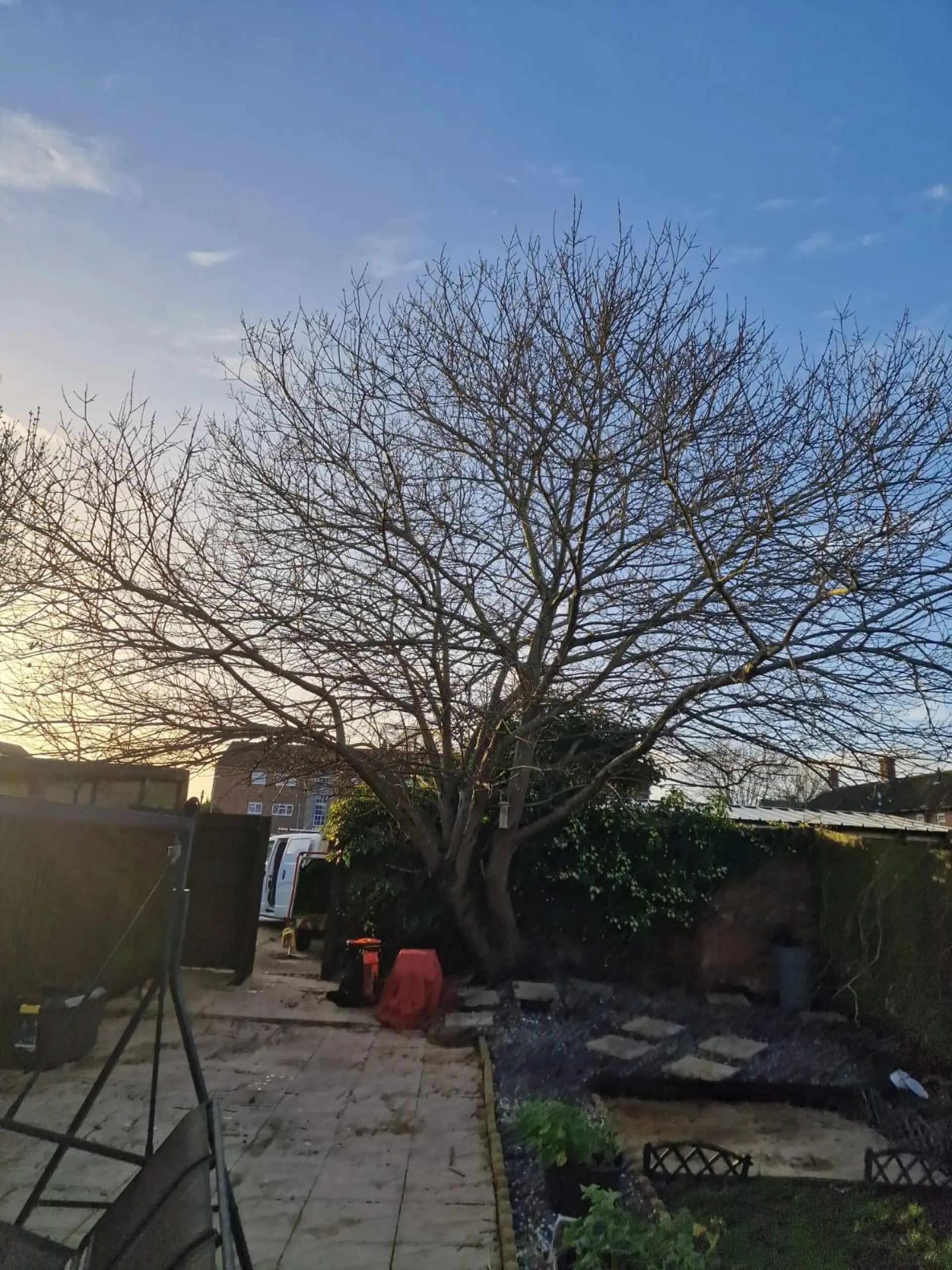 Domestic and Commercial Landscaping Services