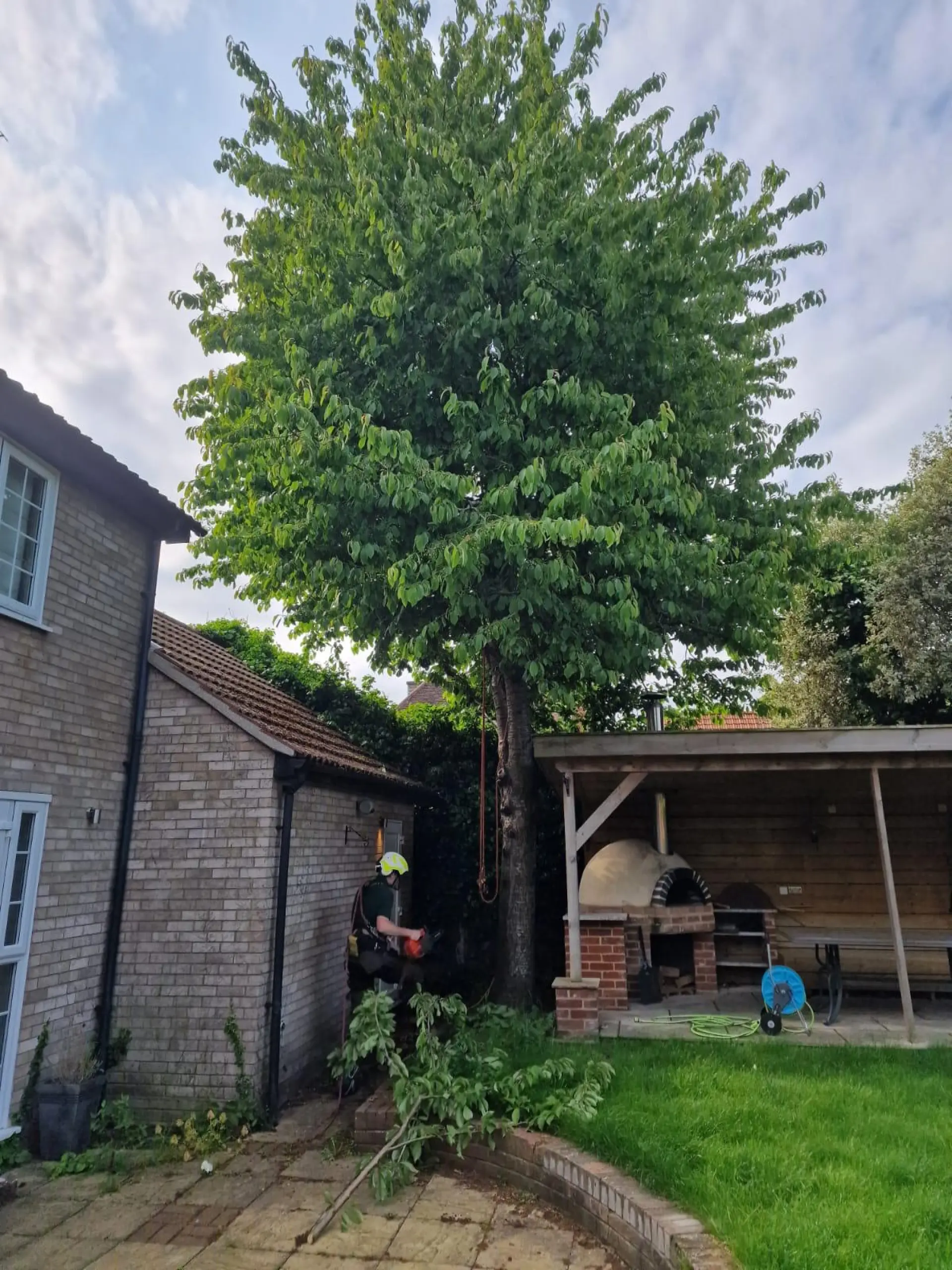 Gardening Service Alresford, Colchester and Essex