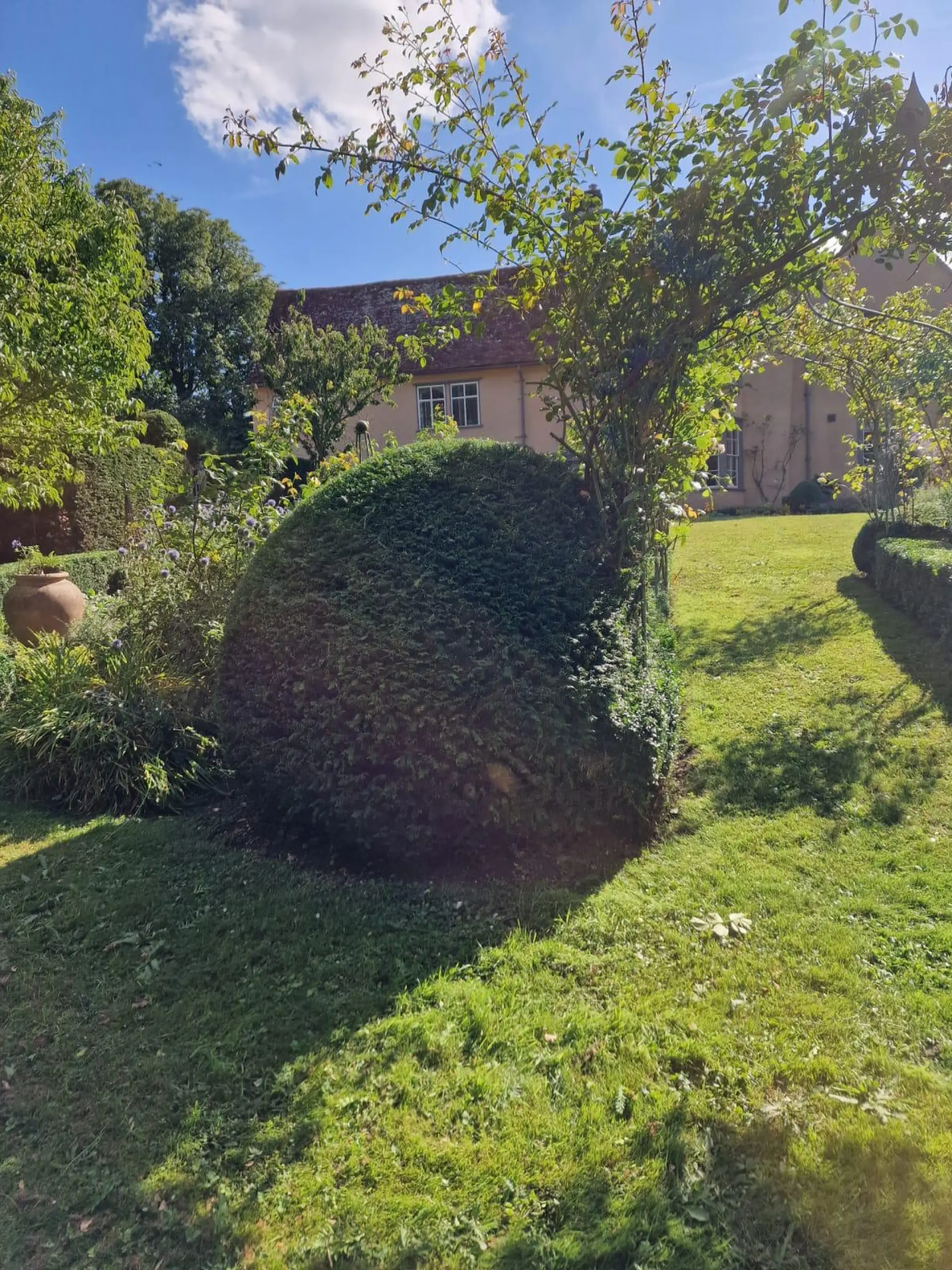 Garden Landscaping Services Alresford, Colchester and Essex