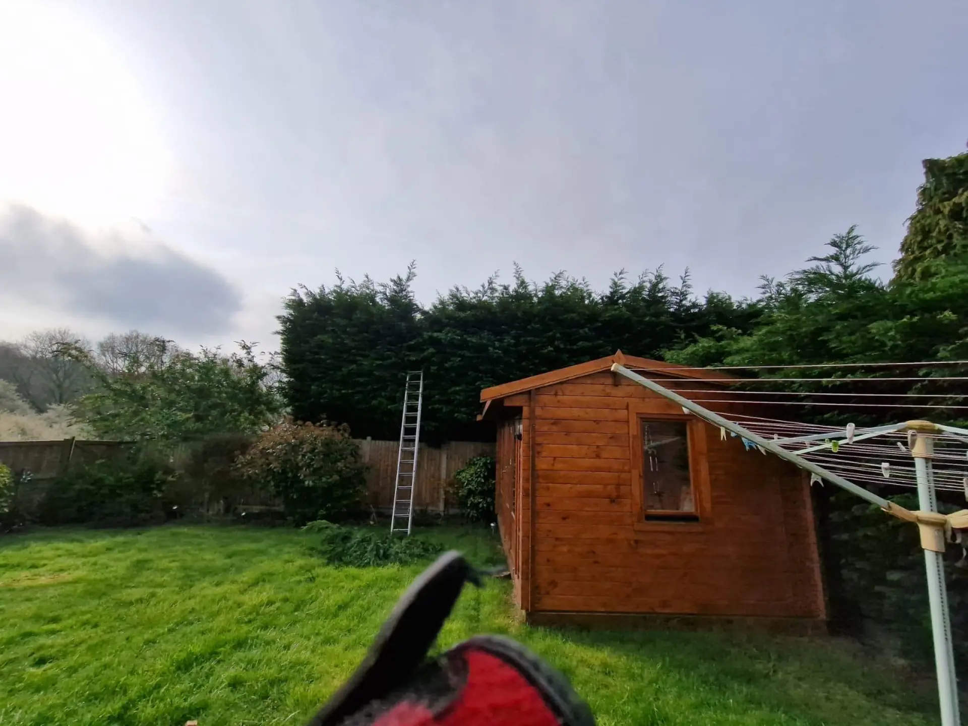 Garden Maintenance Alresford, Colchester and Essex